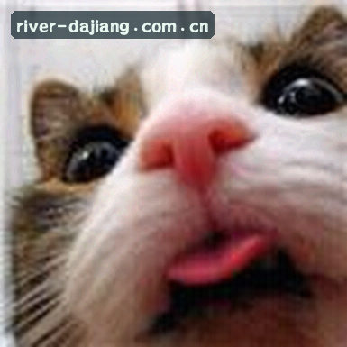 赵敏